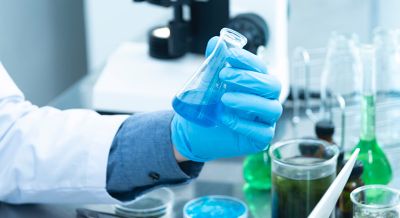 不断优化生产工艺，丰富产品生产线